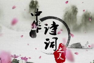 一个人的生日：孤独中的仪式感与自我温暖